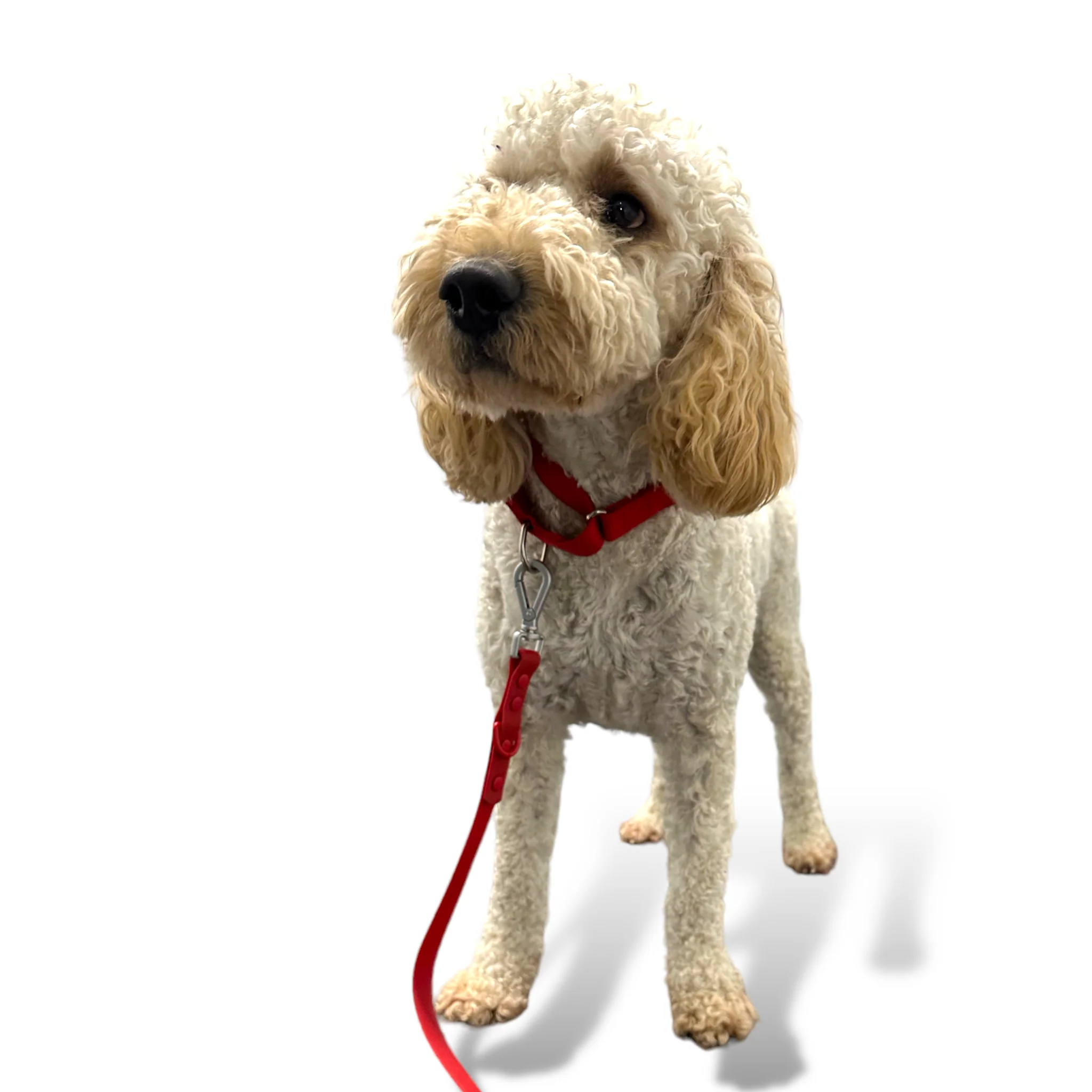Product image 35
